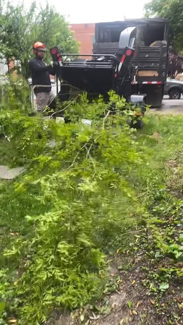 C & C crew feeding cut limbs into a chipper beside their truck